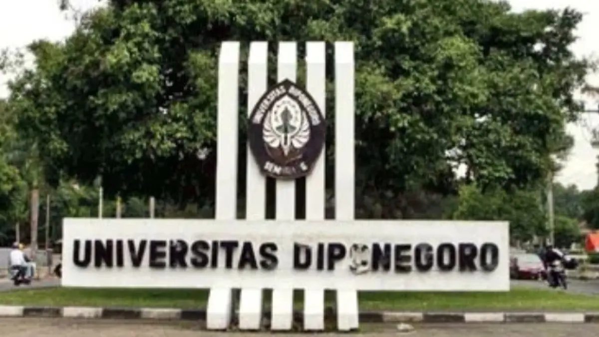 Undip.