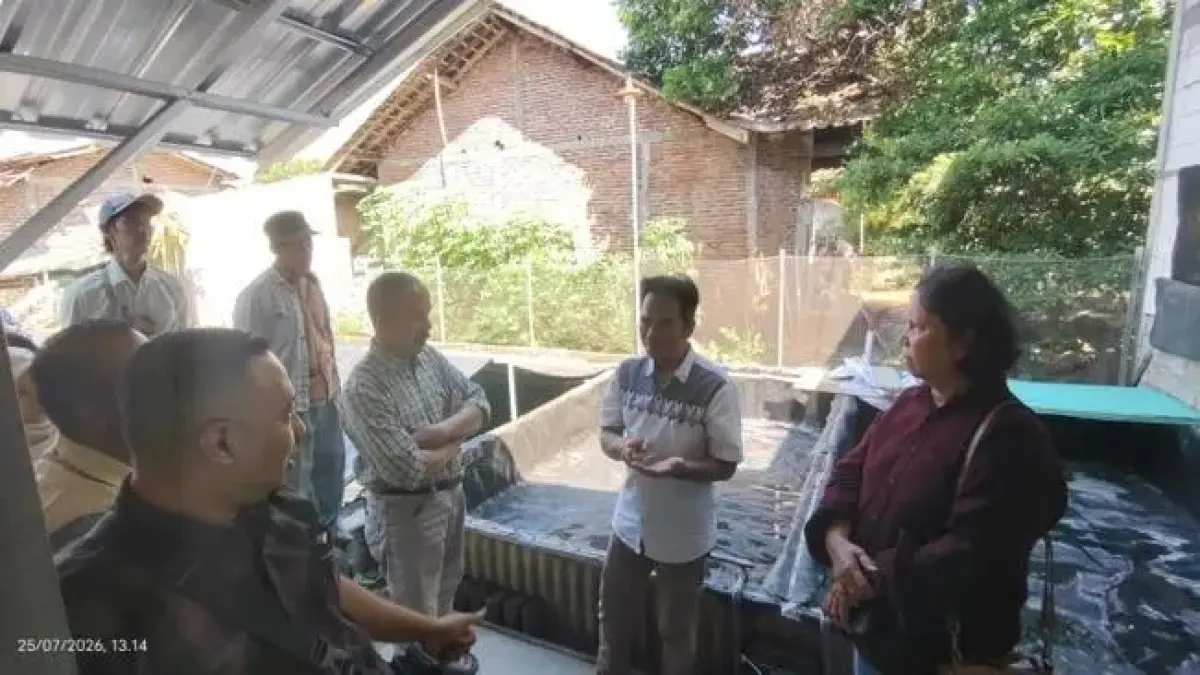 SOSIALISASI DAN EDUKASI : Simulasi paket edumina pembenihan lele di RW 10 Kelurahan Gunungpati, Kota Semarang. (DOK. PLN UPT SEMARANG)