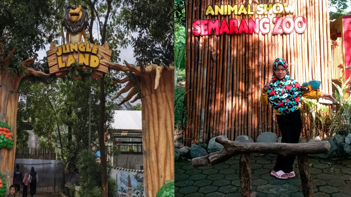 Hemat Banget! Cuma Bayar Rp30 Ribu, 4 Kafilah MTQ 2026 Bisa Puas Liburan di Semarang Zoo
