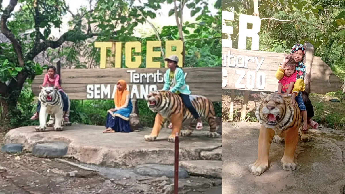 Viral! Peserta MTQ Nasional 2026 Bisa Masuk Semarang Zoo Berempat Cuma Bayar Berdua, Ini Caranya!