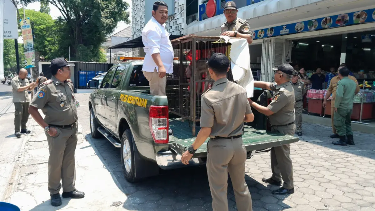 DIAMANKAN : Satpol PP Kota Semarang, ketika mengamankan seekor beruk dari Pasar Hewan Karimata.