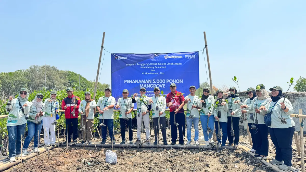 PT Permodalan Nasional Madani (Persero) bersama PT Industri Jamu dan Farmasi Sido Muncul Tbk melalui program Green Impact dengan menanam 5.000 pohon mangrove di pesisir Tambakrejo, Kelurahan Tanjung Mas, Kecamatan Semarang Utara, Kota Semarang.