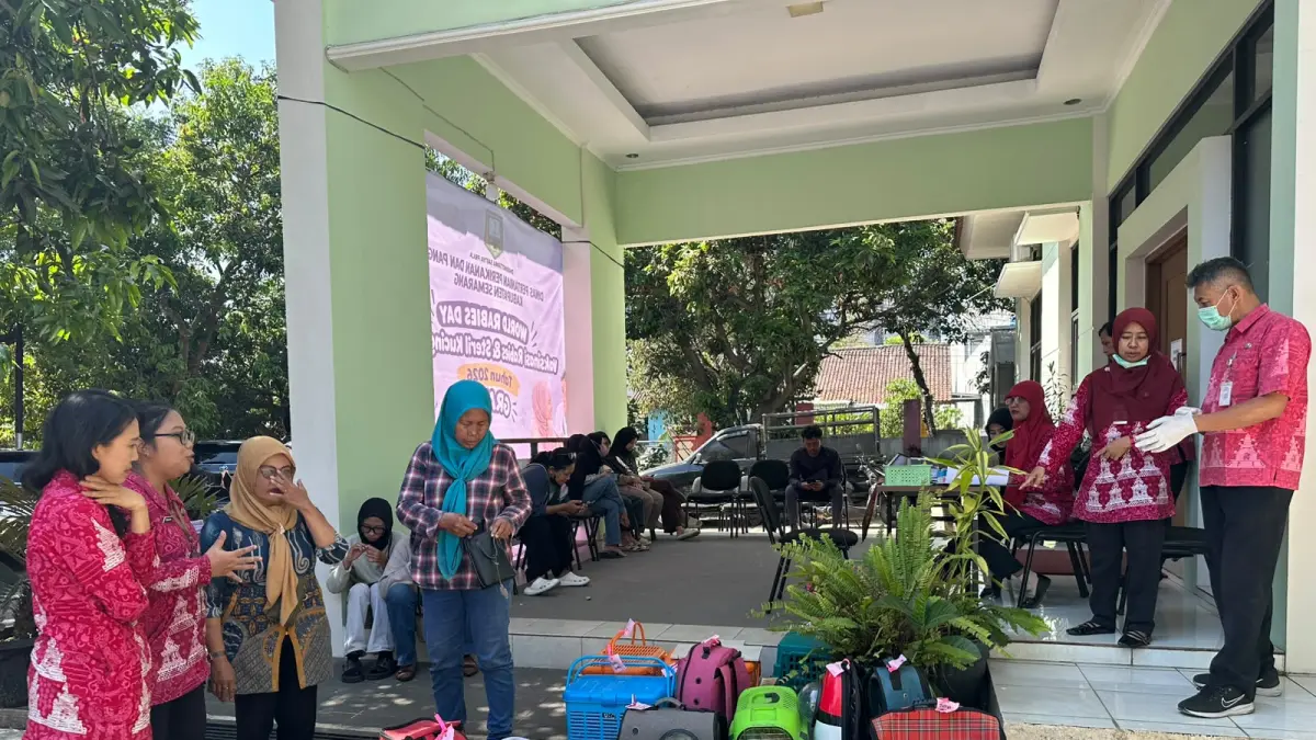 Tiga puluh lima kucing jantan jalanan saat antri untuk disteril di Kantor Dinas Pertanian Perikanan dan Pangan Kabupaten Semarang. Kamis (24/9).