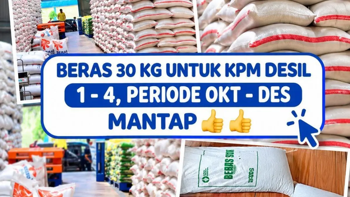 bantuan beras 30 kg 2026
