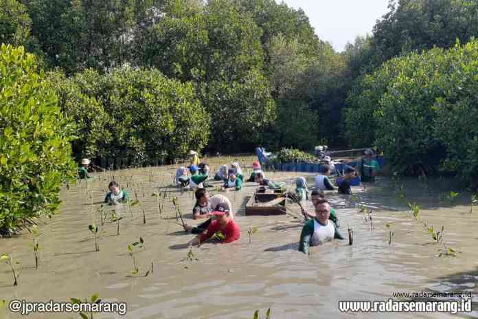 Foto: Carifik Tanam Mangrove- Guna menyelamatkan pesisi Bedono, Sayung Demak, PT Bintraco Dharma dan CARFix menaman 1.500 bibit mangrove sebagai program CSR diawal tahun 2020 dalam rangka pelestarian lingkungan. (tya)(Servis iklan CARFix)