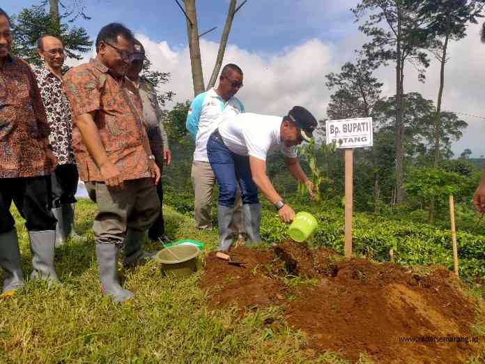 RE BRANDING: Bupati Batang Wihaji bersama Direktur PT Pagilaran Rahmat Gunadi dan jajarannya dalam agenda penanaman bibit pohon pelindung.