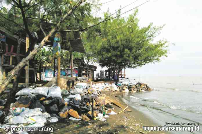 MEMPRIHATINKAN: Kecantikan Pantai Ngebum, Desa Mororejo, Kecamatan Kaliwungu tergerus oleh abrasi laut. (BUDI SETIYAWAN/JAWA POS RADAR SEMARANG)