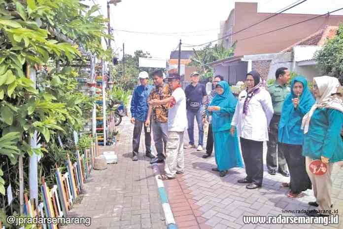 TAMAN TOGA : Salah satu taman toga di RW 4 Kelurahan Kembangsari Kecamatan Semarang Tengah yang menyediakan berbagai tanaman obat untuk warga. (PRATONO/JAWA POS RADAR SEMARANG)