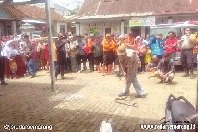 JADI TONTONAN : Puluhan warga Dusun Sigung melihat ular kobra yang ditemukan dalam gropyokan ular. (Dok Kalak BPBD For Jawa Pos Radar Kedu)