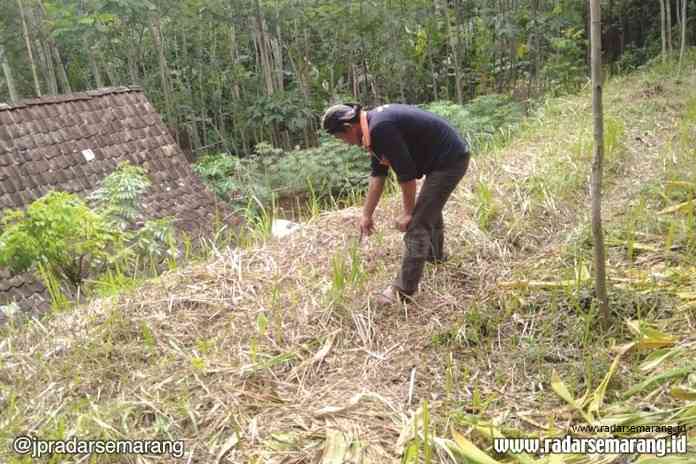 Salah seorang petugas BPBD Kabupaten Magelang memeriksa retakan tanah yang bisa saja melebar ketika hujan deras mengguyur Desa Kalisalak, Kecamatan Salaman. (Istimewa)