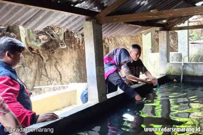 TEMPAT WISATA BARU : Ketua RW 3 Kelurahan Bambankerep, Sri Sudarsono menunjukkan lokasi Sendang Kalipancur yang berada di Jalan CD Penataran 8, Bambankerep, Kota Semarang. (Adennyar Wicaksono/Jawa Pos Radar Semarang)