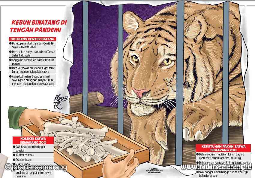 Grafis: Ibnu/Jawa Pos Radar Semarang