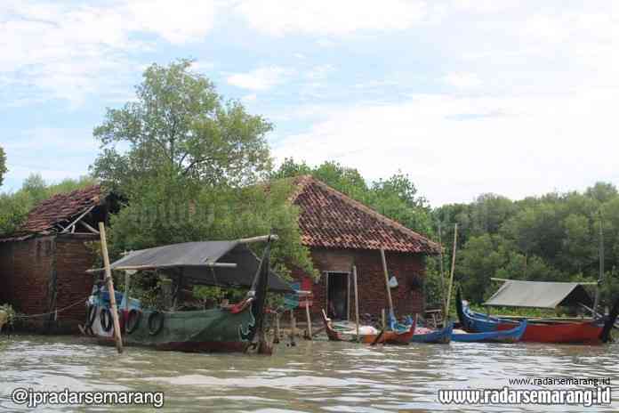 Rumah keluarga Pasijah yang dikepung air laut akibat abrasi dan rob di Desa Bedono, Sayung, Demak. (Wahib Pribadi/Jawa Pos Radar Semarang)