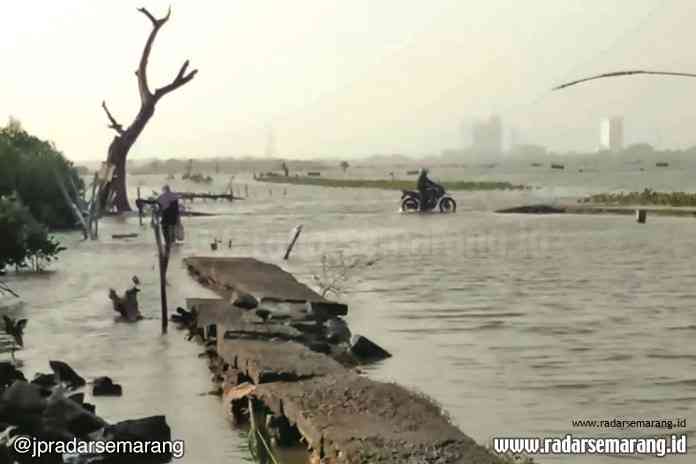 Jalan menuju Dukuh Mondoliko, Desa Bedono, Kecamatan Sayung rusak lantaran terendam rob bertahun-tahun. (Wahib Pribadi/Jawa Pos Radar Semarang)