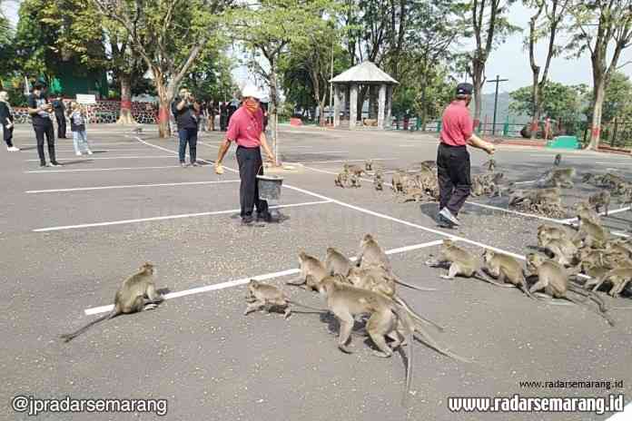 Wisata Gua Kreo mendapatkan rekomendasi untuk dibuka oleh Disbudpar Kota Semarang. (Istimewa)