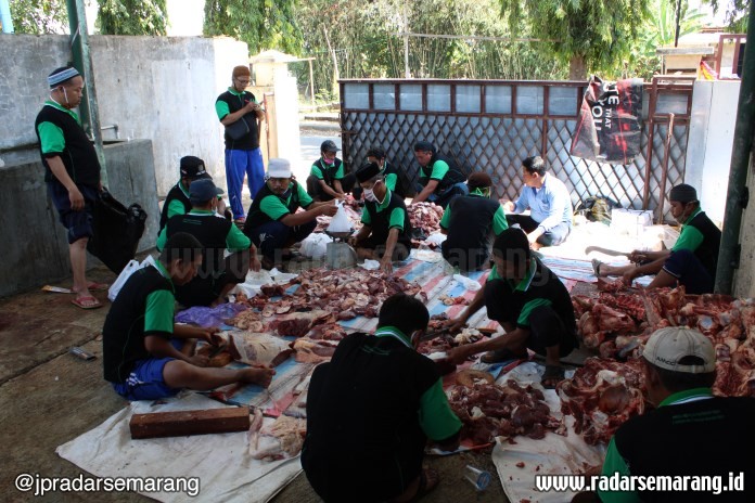 Panitia kurban Masjid Al Muhtaram ketika membungkus daging kuban yang siap mereka bagikan di RPH Wiradesa, Jumat (31/7/2020). (Nanang Rendi Ahmad/Jawa Pos Radar Semarang)