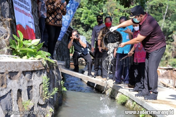 Wali Kota Semarang Hendrar Prihadi saat menebar benih ikan nila di Polaman, Mijen. (Istimewa)