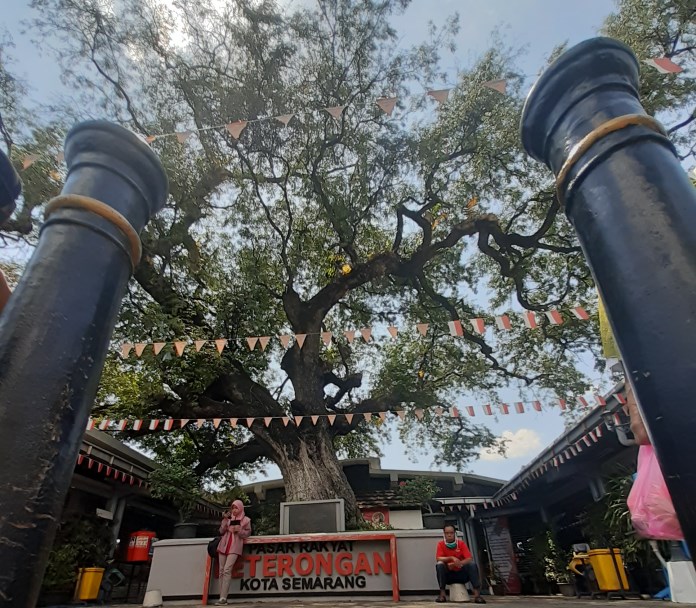 Pohon asam di depan Pasar Peterongan sudah dipondasi sangat rapi, terawat, dan dilengkapi prasasti bertuliskan Bangunan Cagar Budaya Pasar Peterongan. (Maftu Laila/Jawa Pos Radar Semarang)