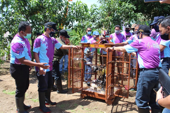 Pelepasan burung di Hutan Penggaron dalam soft opening KHDTK Undip. (Istimewa)