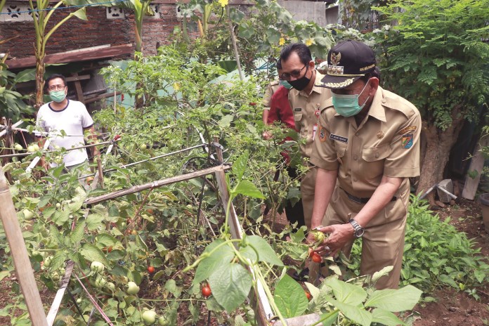 Wali Kota Pekalongan M Saelany Machfudz saat mengunjungi Kampung Tangguh Covid di Podosugih. (Lutfi Hanafi/Jawa Pos Radar Semarang)