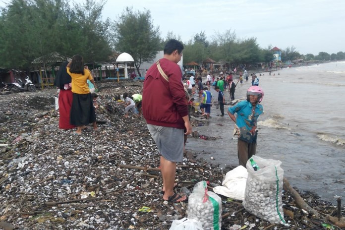 Ratusan warga Desa Sendang Sikucing dan sekitarnya tampak memunguti kerang yang terdampar di obyek wisata Pantai Sendang Sikucing. (Budi Setiyawan/Jawa Pos Radar Semarang)