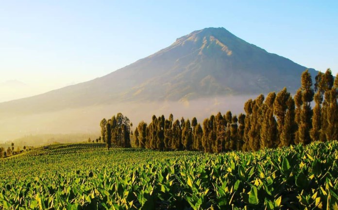 Golden sunrise di wisata alam Posong, Kabupaten Temanggung yang memikat mata. (Posong For Jawa Pos Radar Semarang)