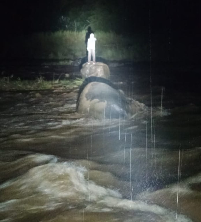 Tim SAR berusaha mengevakuasi Keswanto yang terjebak air bah di Sungai Sengkarang. (Istimewa)