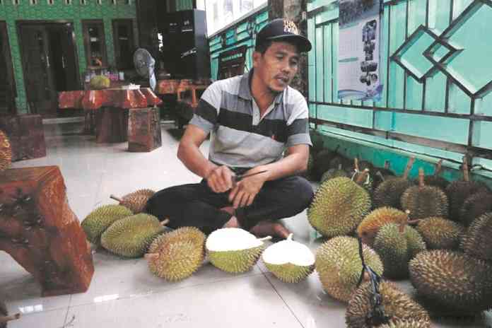 Jurochim menunjukkan durian Merica khas Kendal yang menjadi primadona di musim panen tahun ini. (BUDI SETIYAWAN/JAWA POS RADAR SEMARANG)