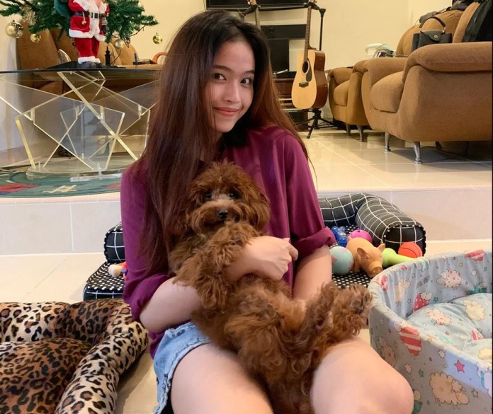 Anjing red toy poodle milik Adelya Felita yang memiliki panggilan khusus Anabul ini, selalu stylist dan menyenangkan. (BALQIS-FAZER/JAWA POS RADAR SEMARANG)