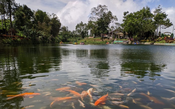 Suasana sejuk menenangkan ketika berada di Telaga Bedakah. Telaga ini berada di kawasan perkebunan teh Tambi di wilayah Kecamatan Kertek, Wonosobo. (Istimewa)