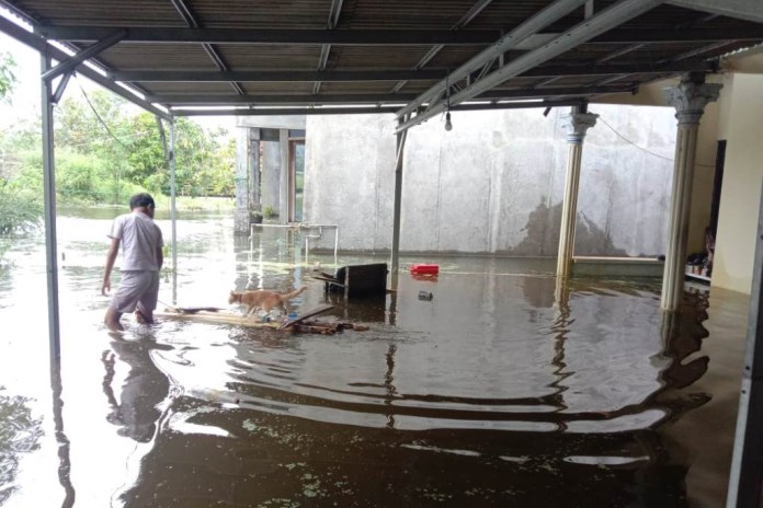 Rumah warga Desa Sayung, Kecamatan Sayung terus terendam banjir. (Wahib Pribadi/Jawa Pos Radar Semarang)