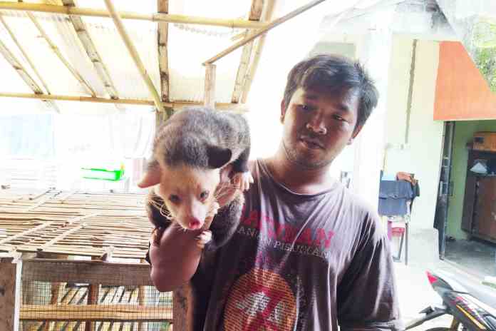 RIRI RAHAYU/JAWA POS RADAR SEMARANG  SUDAH JINAK: Septiawan Prasetyo Nugroho, dan  salah satu musang pandan miliknya.