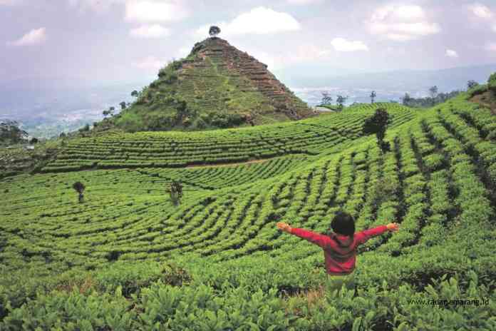 Tempat terbaik yang ditawarkan saat berkunjung ke Gunung Cilik, Kaliurip, Kecamatan Kertek, Kabupaten Wonosobo. (Setyanto for Jawa Pos Radar Semarang)