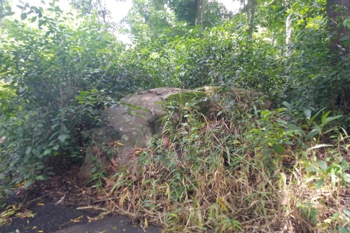 Batu besar di tengah hutan Tinjomoyo yang dikenal sering mengeluarkan bau busuk dan diyakini menjadi tempat berkumpulnya berbagai makhluk halus. (Ananta Erlangga Musa/Jawa Pos Radar Semarang)