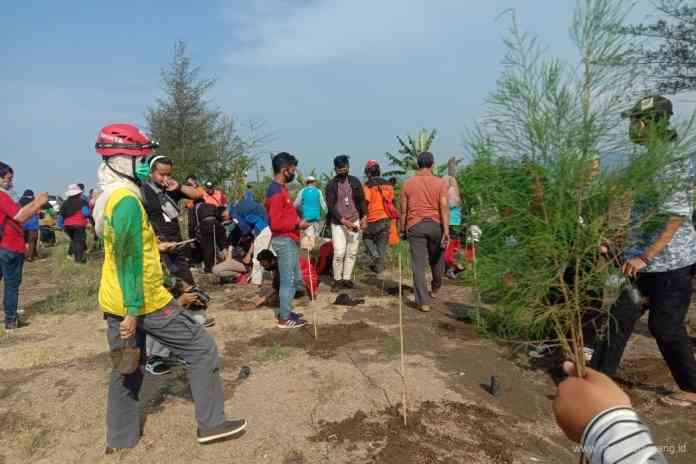 Para pencinta alam sedang menanam pohon cemara di Pantai Roban Barat.  (Istimewa)
