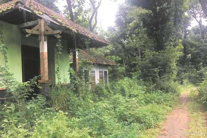 Kondisi di dalam hutan wisata Silayur yang sudah ditumbuhi semak belukar. Beberapa bangunan terlihat sudah tidak terawat dan rusak. (EKO WAHYU BUDIYANTO/JAWA POS RADAR SEMARANG)