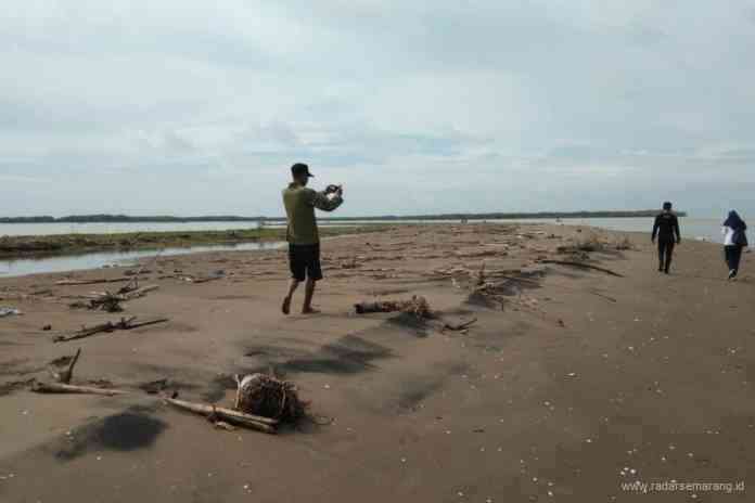 Sejumlah pelancong bermain di atas Pulau Tirang. Lokasinya di Desa Babalan dan Berahan Wetan. (Wahib Pribadi/Jawa Pos Radar Semarang)