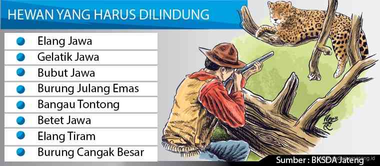 Grafis: Ibnu Fiqri/Jawa Pos Radar Semarang