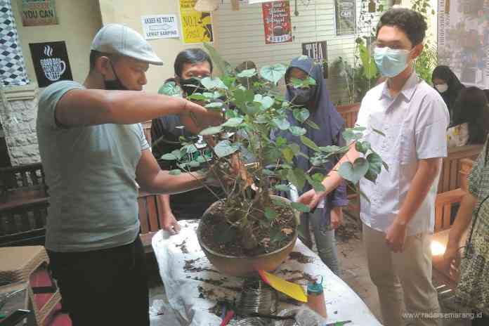 Pembelaran PKH tanaman Bonsai bagi siswa kelas IX SMPN 21 Semarang. (Istimewa)