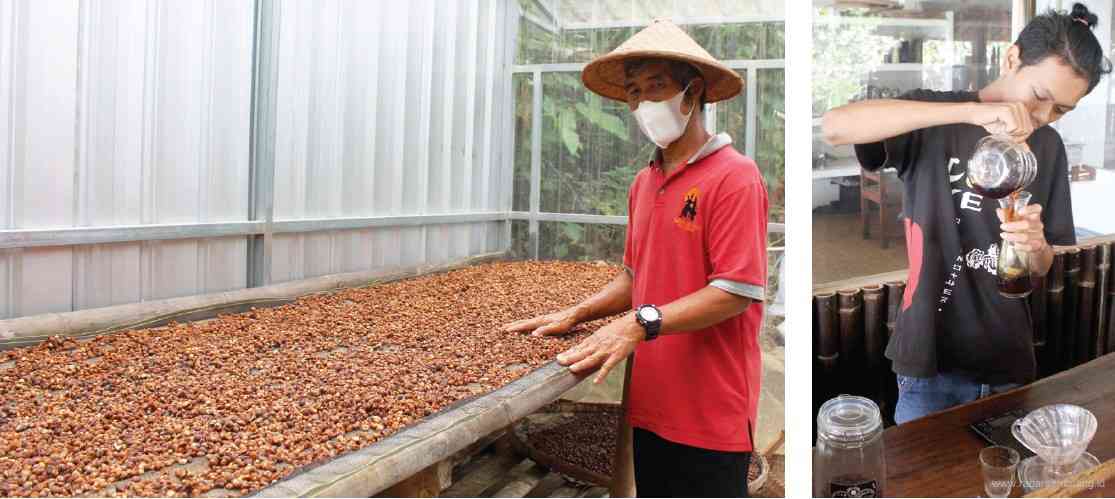 Ismoyo saat menjemur biji kopi hasil panennya. (kanan) Barista sedang menyeduh Borobudur Coffee di kedai kopi kelompok tani Dusun Kerug. (LUQMAN SULISTIYAWAN/JAWA POS RADAR SEMARANG)
