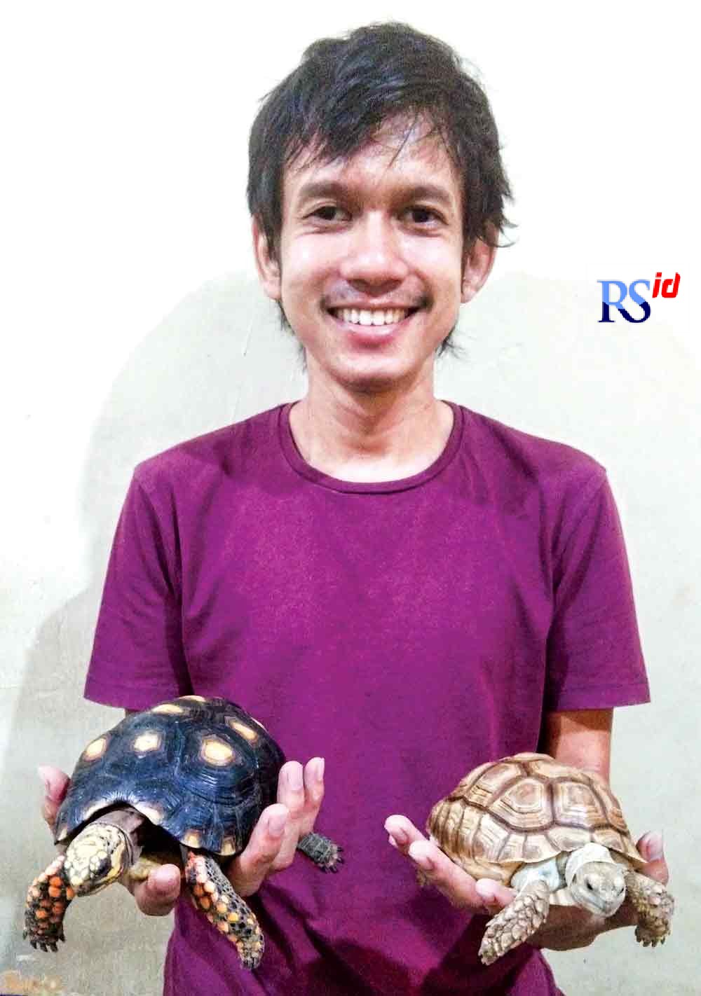 Satria Anandika menunjukkan kura-kura peliharaannya. (Lisa Musafiin/jawa pos radar semarang)