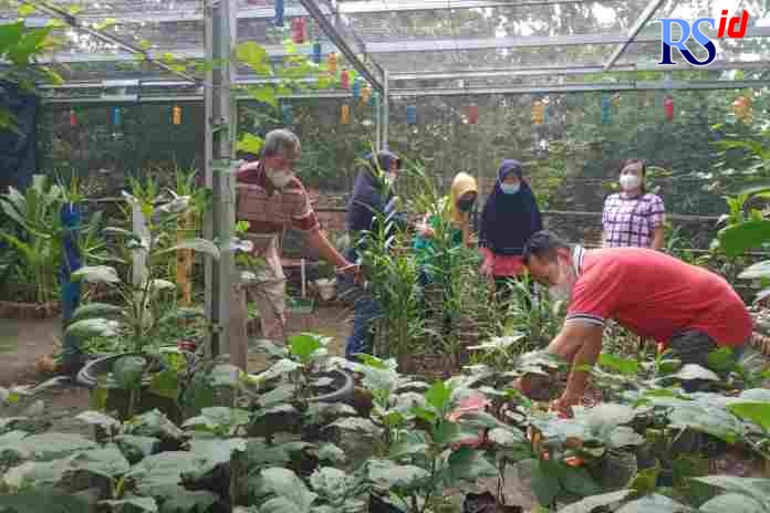 KWT Mukti Mandiri menanam tiga tanaman sebagai produk unggulan. (FIGUR RONGGO WASSALIM/JAWA POS RADAR SEMARANG)
