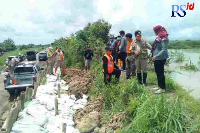 Tim melakukan penguatan tanggul rawan jebol dengan penanaman rumput vetiver dari India. (Wahib Pribadi/Jawa Pos Radar Semarang)