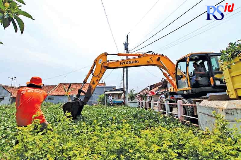 Anggota BPBD Kota Pekalongan bekerjasama perwakilan berbagai instansi dan masyarakat membersihkan secara bertahap sungai dari eceng gondok. (Lutfi Hanafi/Jawa Pos Radar Semarang)