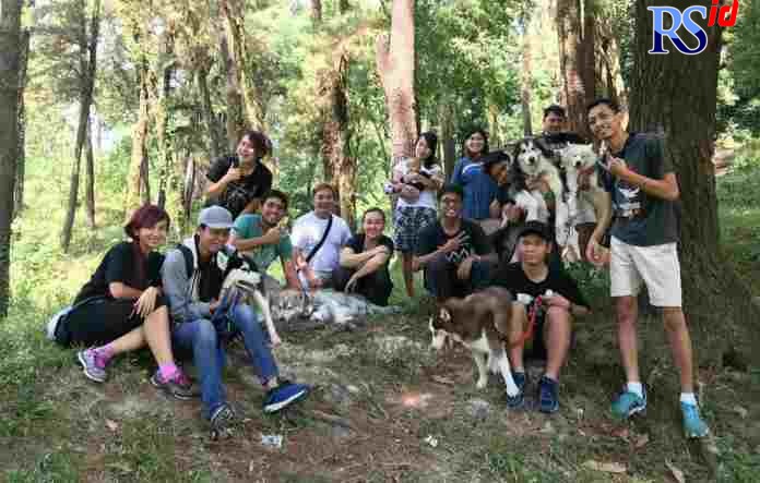 Pemilik Siberian Husky mengajak anjingnya di wilayah yang memiliki cuaca dingin. (DOK GRUP OF SIBERIAN HUSKY SEMARANG)