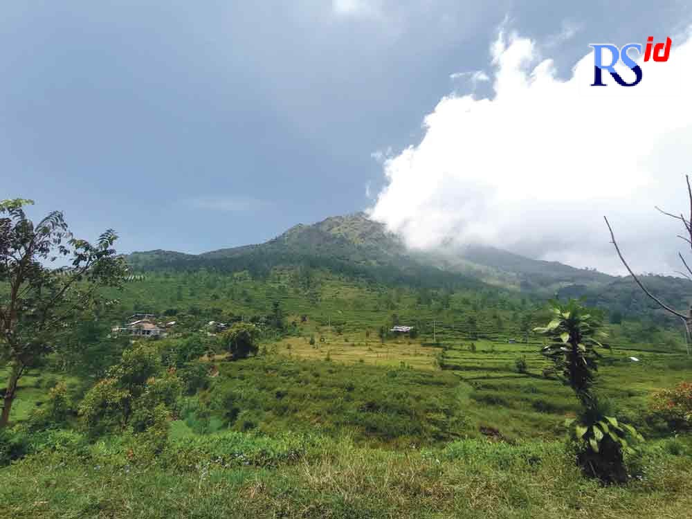 Gua Jepang terletak di antara Kabupaten Kendal dan Kabupaten Semarang. Tepatnya di Dusun Candi Promasan, Desa Ngesrep Balong, Limbangan, Kendal. (FIGUR RONGGO WASSALIM/ RIZKI INDRIYANTI/ JAWA POS RADAR SEMARANG)