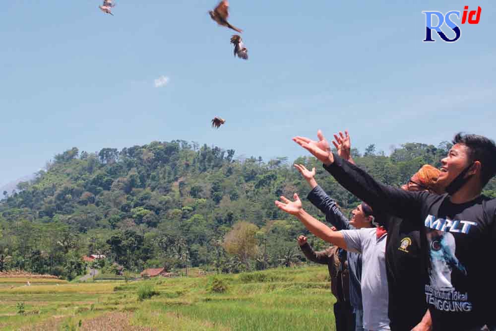 Komunitas Memetri Perkutut Lokal Temanggung (MPLT) melepas burung perkutut jawa di Desa Gunung Payung, Kecamatan Candiroto, Minggu (10/10/2021). (ANANTA ERLANGGA MUSA / JAWA POS RADAR SEMARANG)