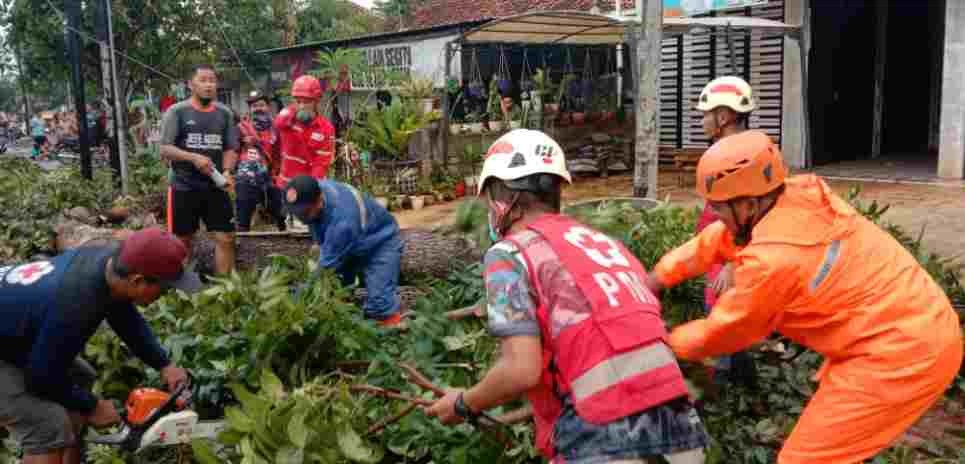 Proses evakuasi pohon tumbang di depan Balaidesa Rowolaku, Kecamatan Kajen, Kabupaten Pekalongan, Selasa (26/10/2021).