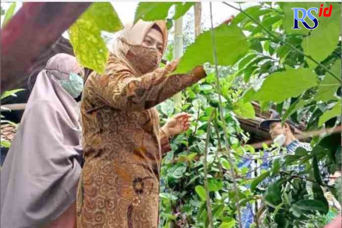 TINJAUAN: Ketua TP PKK Kabupaten Semarang saat meninjau tanaman toga usai peresmian program Dashat.(Maria Novena/Jawa Pos Radar Semarang)
