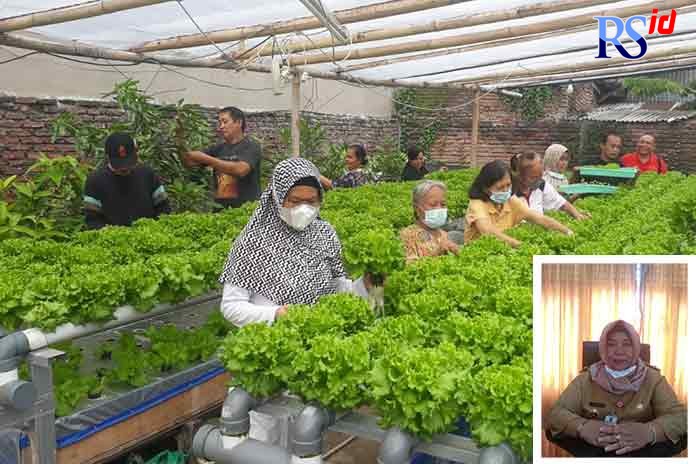 Warga merawat sayuran di kampung tematik petani perkotaan kebun kita. Retno Setyaningsih. (ADIT BAMBANG SETYAWAN/ JAWA POS RADAR SEMARANG)